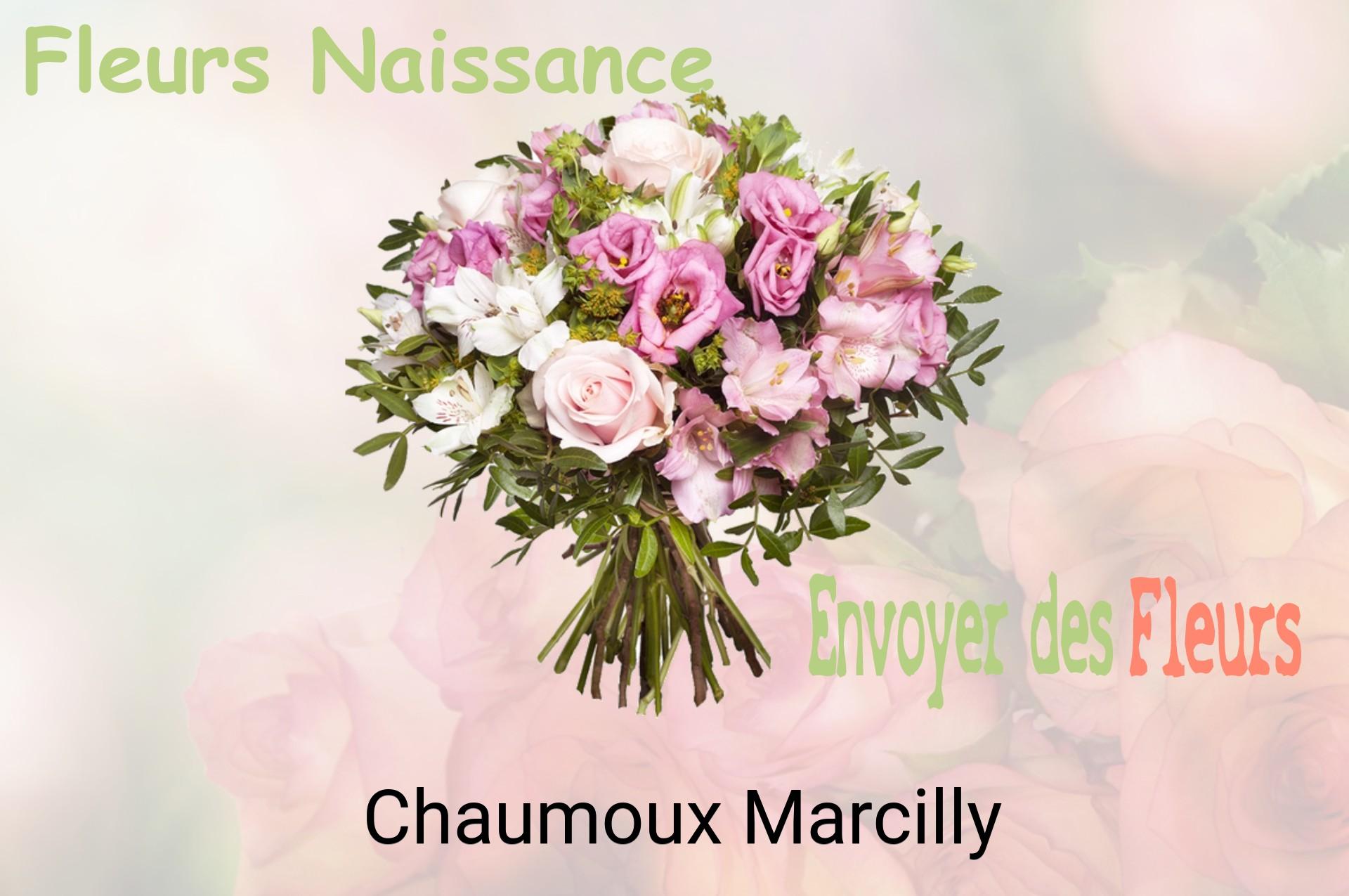 Bouquet de fleurs de naissance livré à Chaumoux-Marcilly